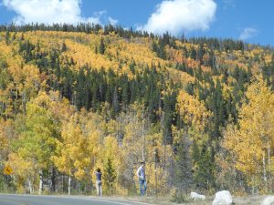 Moraine on Bear Lake Road