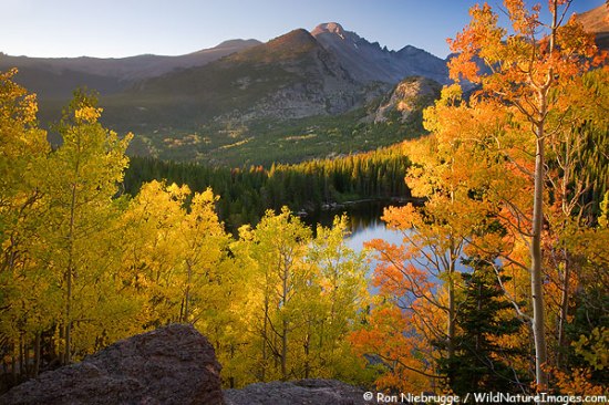 Autumn colors at Bear Lake, Rocky Mountain National Park, Colorado.