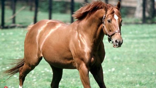 92ab70b9741a4f748b42919449035591